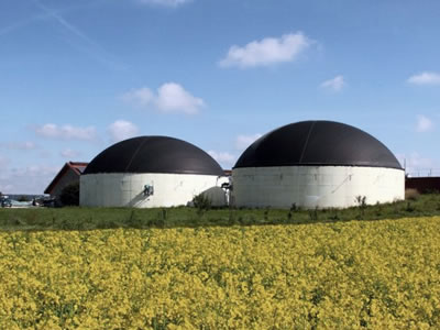 BIOGAS ENERGY SYSTEMS